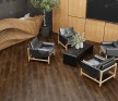 SPC ламинат Alpine Floor Grand Sequoia ШЕРМАН ECO 11-33